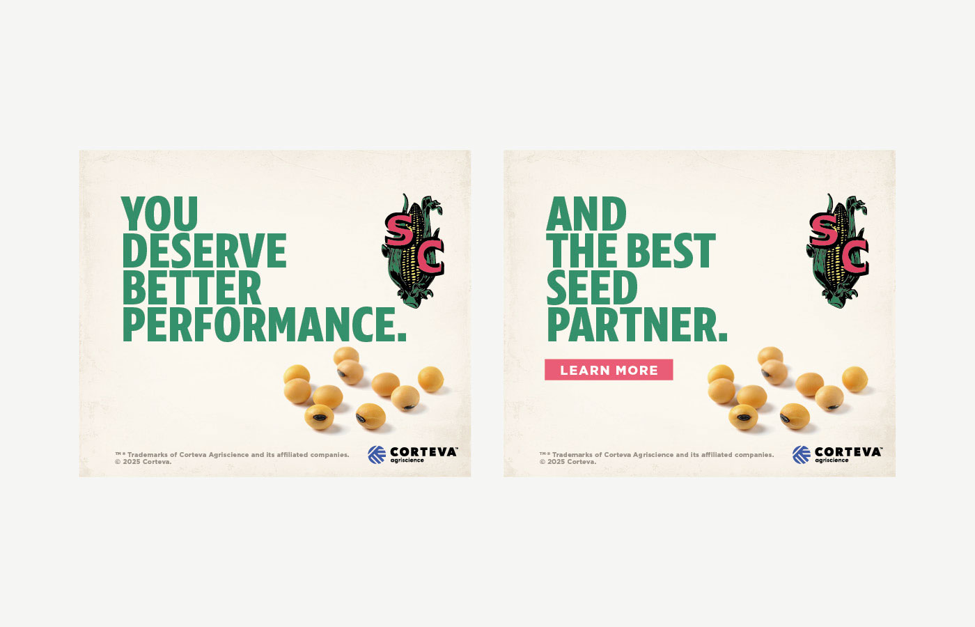 Seed Consultants Digital Ad Image