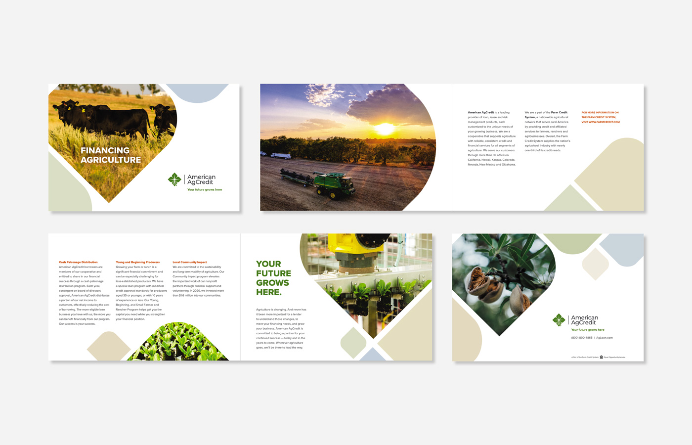 American Ag Credit Flyer Image