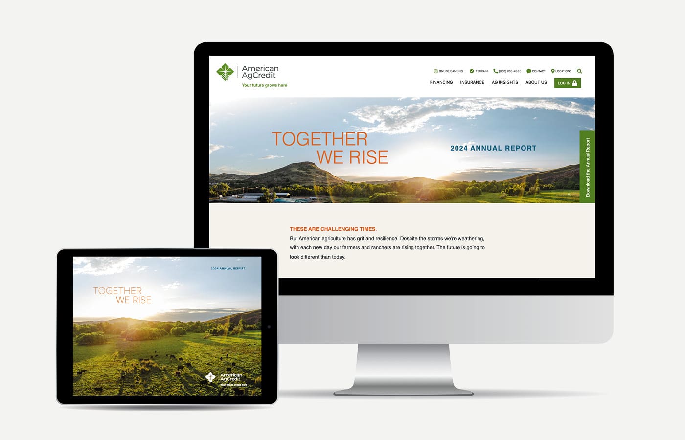 American AgCredit Annual Report online